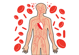 body detoxification for natural medicine