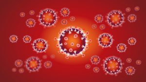 immune system molecules