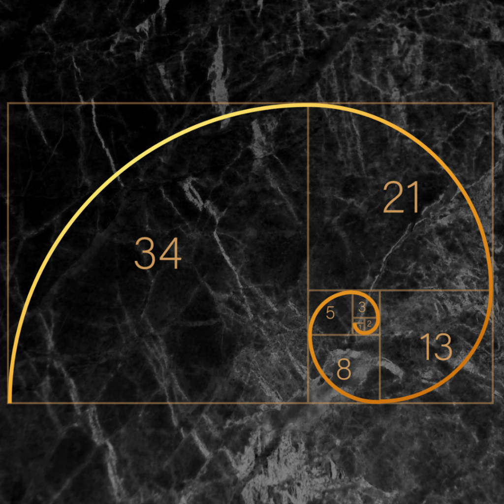 golden mean spiral symbol design graphic illustration